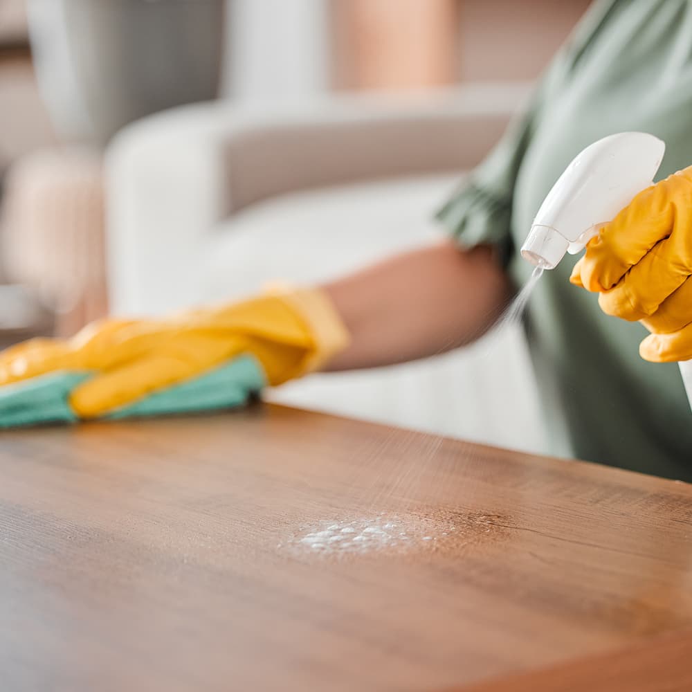 House Cleaning